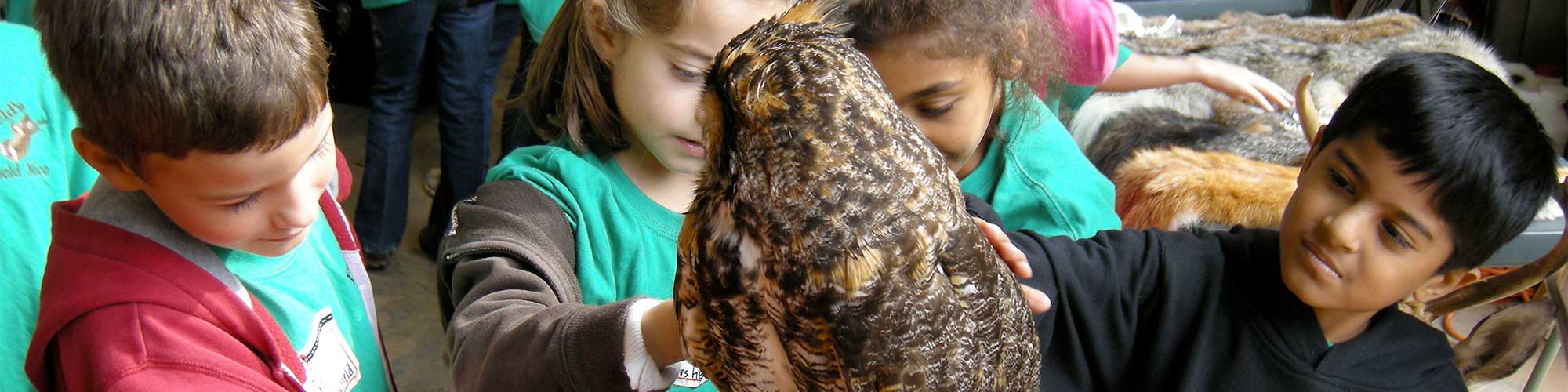 Children learn about Wildlife at Mountain Island Educational State Forest